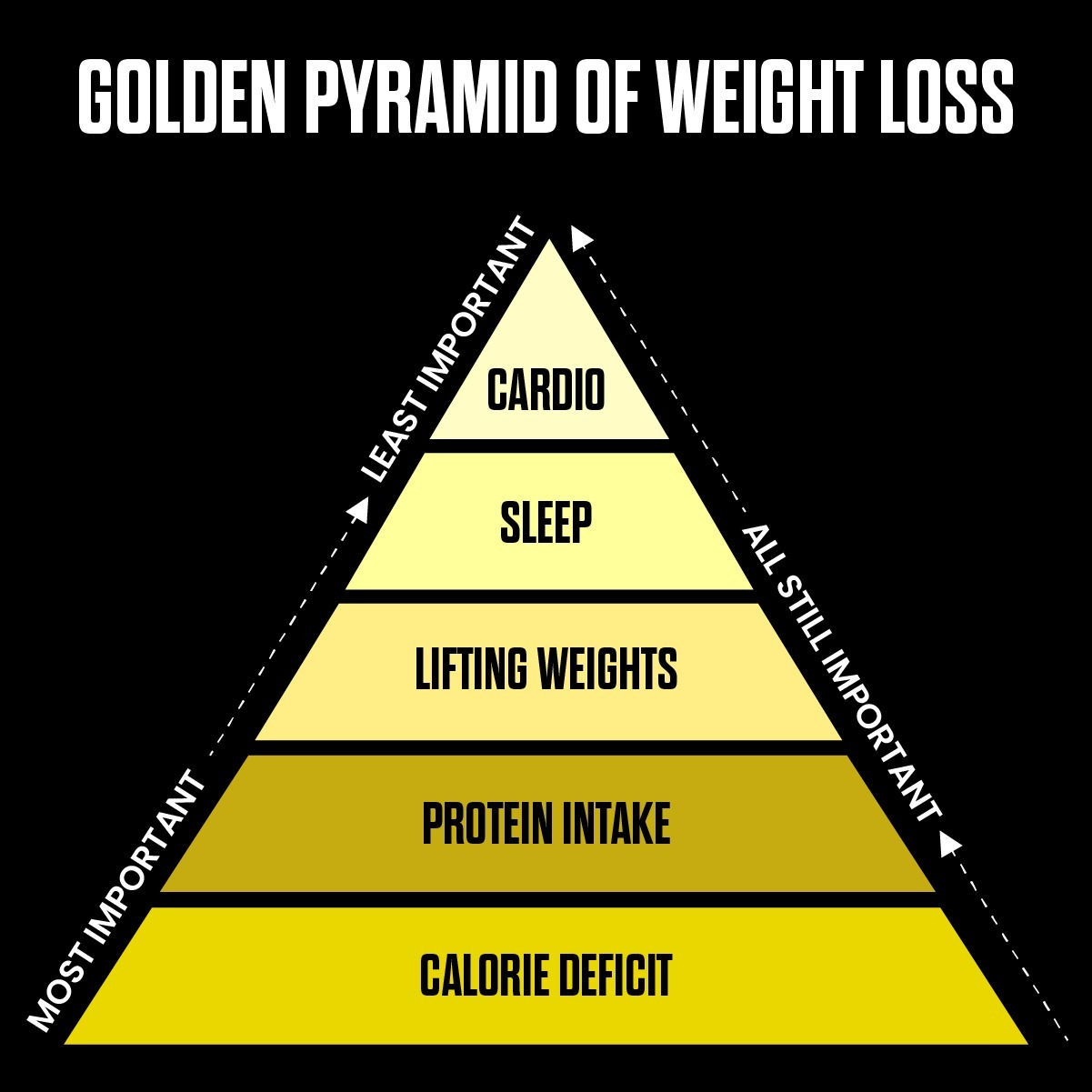 Golden Pyramid of Weight Loss Explained by Abhinav Malhotra - Best Personal Trainer Dubai UAE