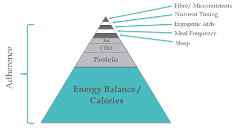 Body Composition Hierarchy - Best Personal Training in Dubai UAE - AbhiFit